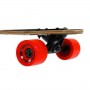 Nils Extreme Homeland Skeleton 9.45" Complete Longboard Πολύχρωμο