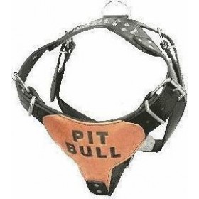 Επιστήθιο σκύλου δερμάτινο 'PIT BULL', Medium - Κωδικος : 07.98.013
