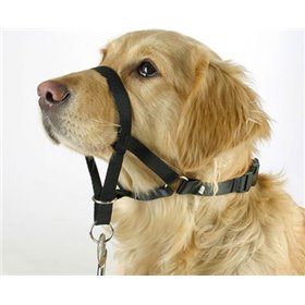 Trixie Top Trainer Φίμωτρο Σκύλου Εκπαιδευτικό με Ζώνη Λαιμού Medium 27cm