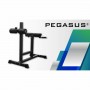 Pegasus HCLT-5006 Ρυθμιζόμενος Πάγκος Γυμναστικής ΡαχιαίωνΚωδικός: Λ-5042 