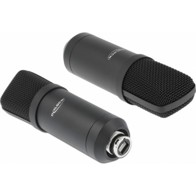 DeLock Professional USB Condenser Microphone Set