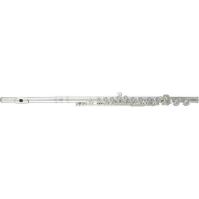 Roy Benson FL-402E Flute - Split E, Offset G