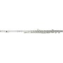 Roy Benson FL-402E Flute - Split E, Offset G