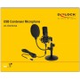 DeLock Professional USB Condenser Microphone Set