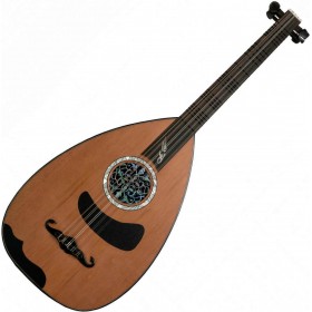 Πολίτικο Λαούτο LA05