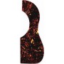 D'Andrea Pickguard για Ακουστική Κιθάρα Acoustic PickGuard Large ShellΚωδικός: 376ALG-SHELL 