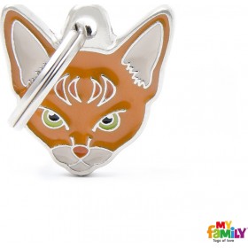 My Family Friends Abyssinian