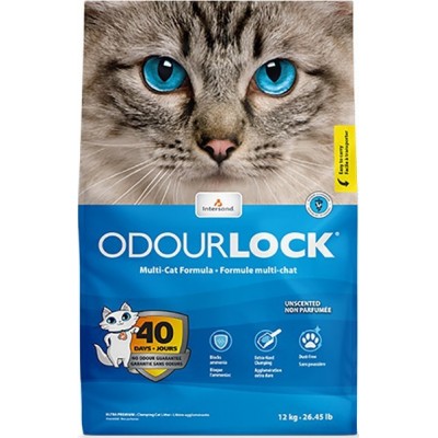 Intersand Odourlock Άμμος Γάτας Clumping 12kg