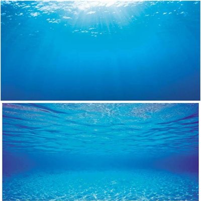 Juwel Double Face Διακοσμητική Αφίσα Ενυδρείου 2 Large Blue Water 100x50cm