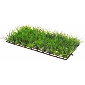 "Hobby Plant Mat 1 Διακοσμητικό Τεχνητό Φυτό Ενυδρείου 25x12 Hobby Plant Mat 1 Διακοσμητικό Τεχνητό Φυτό Ενυδρείου 25x12,5cm