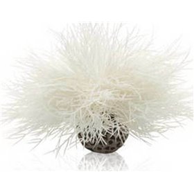 Oase biOrb Sea Lily Πλαστικά Φυτά Ενυδρείου 11cm White Oase biOrb Sea Lily Πλαστικά Φυτά Ενυδρείου 11cm White