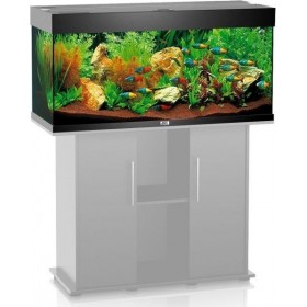 Juwel Rio 101x41x50cm 180lt Μαύρο Juwel Rio 101x41x50cm 180lt Μαύρο