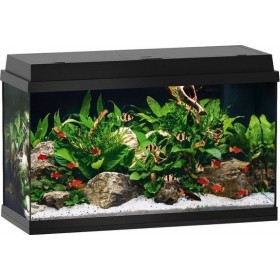 Juwel Primo 60 LED Μαύρο 61x31x37cm 60lt Μαύρο Juwel Primo 60 LED Μαύρο 61x31x37cm 60lt Μαύρο