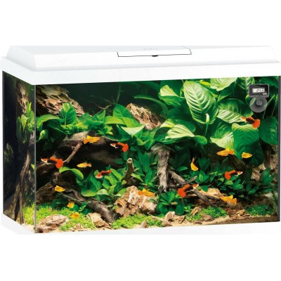 Juwel Primo 70 LED 61x31x44cm 70lt Λευκό