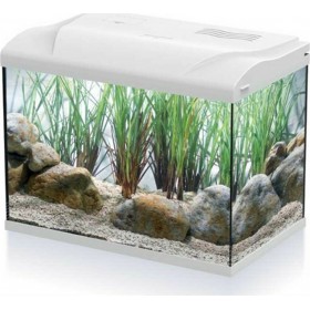 HS Aqua Coldy 20 Led 39x22x30cm 20lt Λευκό