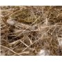 Sisal Fibre Fibre Jute Cotton Υλικό Φωλιάς Πουλιών Γιούτα/Βαμβάκι 100γρ.