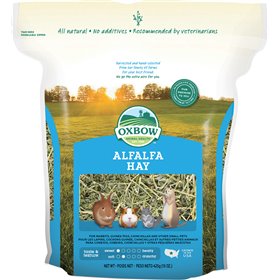 Oxbow Alfalfa Hay Χόρτο 425gr Oxbow Alfalfa Hay Χόρτο 425gr