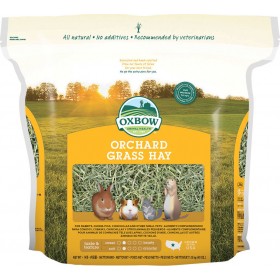 Oxbow Orchard Grass Hay 1130gr Oxbow Orchard Grass Hay 1130gr