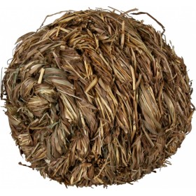 Trixie Μπάλα Γρασιδιού με Κουδούνι 10cm Trixie Μπάλα Γρασιδιού με Κουδούνι 10cm