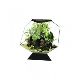 Ciano Nexus Pure Diamond 35.4x41.8x36.8cm Ciano Nexus Pure Diamond 35.4x41.8x36.8cm