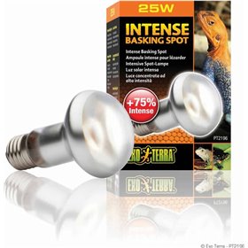 Exo Terra Intense Basking Spot 25W Θερμανιτκή Λάμπα Exo Terra Intense Basking Spot 25W Θερμανιτκή Λάμπα