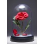 Paladone Παιδικό Διακοσμητικό Φωτιστικό Beauty And The Beast Enchanted Rose