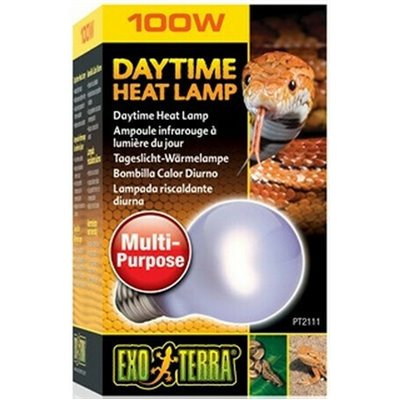 Exo Terra Daytime Heat Lamp A21 / 100W Λάμπα Ημέρας 300263 PT2112