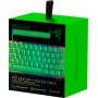 Razer PBT Keycap &amp Coiled Cable Upgrade Set Razer Green