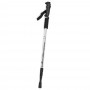 Τηλεσκοπικά Μπαστούνια Πεζοπορίας Nordic Walking Trekking Poles Walking Stick Silver