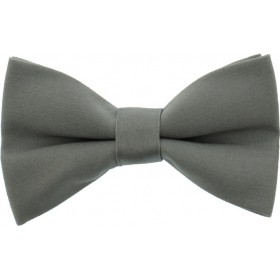 Παπιγιόν Γκρι