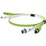 Oyaide Audio Cable 2x XLR female - 2x RCA male 2m (d+ XFR class B)