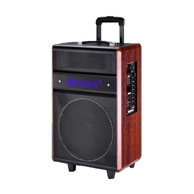 Ηχείο με λειτουργία Karaoke 603079 σε Μαύρο Χρώμα