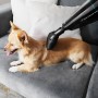 Cecotec Conga Immortal Extremesuction Animal Hand Επαναφορτιζόμενο Σκουπάκι 22.2V Μαύρο