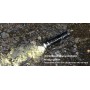 XTAR Επαναφορτιζόμενος Φακός LED Αδιάβροχος IPX8 με Μέγιστη Φωτεινότητα 1000lm WK18