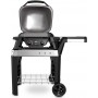 Weber Pulse 2000 with Trolley