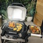 Weber Pulse 2000 with Trolley