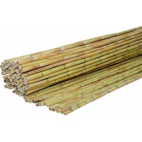 ShoWood Καλαμωτή με Ολόκληρο Καλάμι 2x3mΚωδικός: 200300 