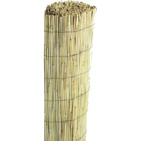 ShoWood Καλαμωτή με Ολόκληρο Καλάμι 1x3mΚωδικός: 30270 