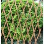 Πτυσσόμενη Πέργκολα Κήπου από Ξύλο με Πλέγμα Ρόμβου σε Καφέ Χρώμα 180x60cm
