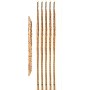 Zaros Thai Bamboo Βέργα Στήριξης Φυτών 110cm
