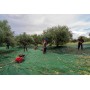Yamastik Νιφάδα X14 Ελαιοραβδιστικό Μπαταρίας Αχινός 400W με Σταθερό Κοντάρι 2.5m και Βάρος 3.2kg