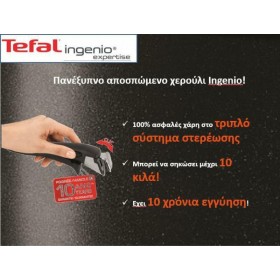 Tefal Ingenio Expertise Κατσαρολάκι Γάλακτος από Αλουμίνιο με Αντικολλητική Επίστρωση 20cmΚωδικός: L65030  Tefal Ingenio Expertise Κατσαρολάκι Γάλακτος από Αλουμίνιο με Αντικολλητική Επίστρωση 20cmΚωδικός: L65030