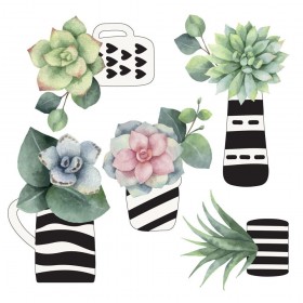 Διακοσμητικό Αυτοκόλλητο Τοίχου Cactus Βινυλίου για Τζάμι Ango