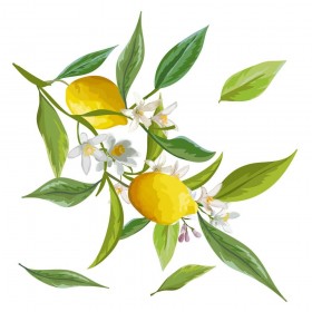 Διακοσμητικό Αυτοκόλλητο Τοίχου Lemon Branch Βινυλίου για Τζάμι Ango