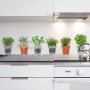 Διακοσμητικό Αυτοκόλλητο Τοίχου Spices Βινυλίου Ango