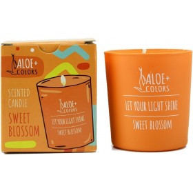 Aloe+ Colors Αρωματικό Κερί Σόγιας σε Βάζο Sweet Blossom Βανίλια/Πορτοκάλι Πορτοκαλί 220gr Aloe+ Colors Αρωματικό Κερί Σόγιας σε Βάζο Sweet Blossom Βανίλια/Πορτοκάλι Πορτοκαλί 220gr