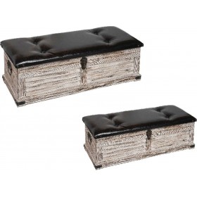 Espiel Σετ Διακοσμητικά Μπαούλα από Δερματίνη 2τμχ