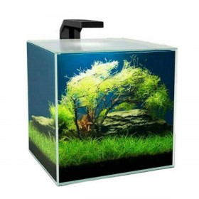 Ciano Cube 15 Clear 25x25.7x30.2cm 14lt Διάφανο