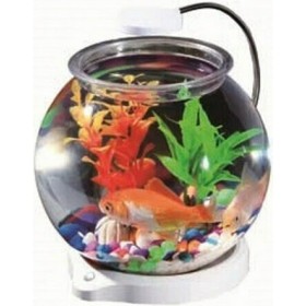 Sun-Sun SU0066 19.5x19.5x23cm 3.5lt Λευκό