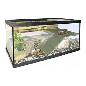 Γυάλινη Χελωνιέρα με Ράμπα C/G (60x31x26cm) Γυάλινη Χελωνιέρα με Ράμπα C/G (60x31x26cm)